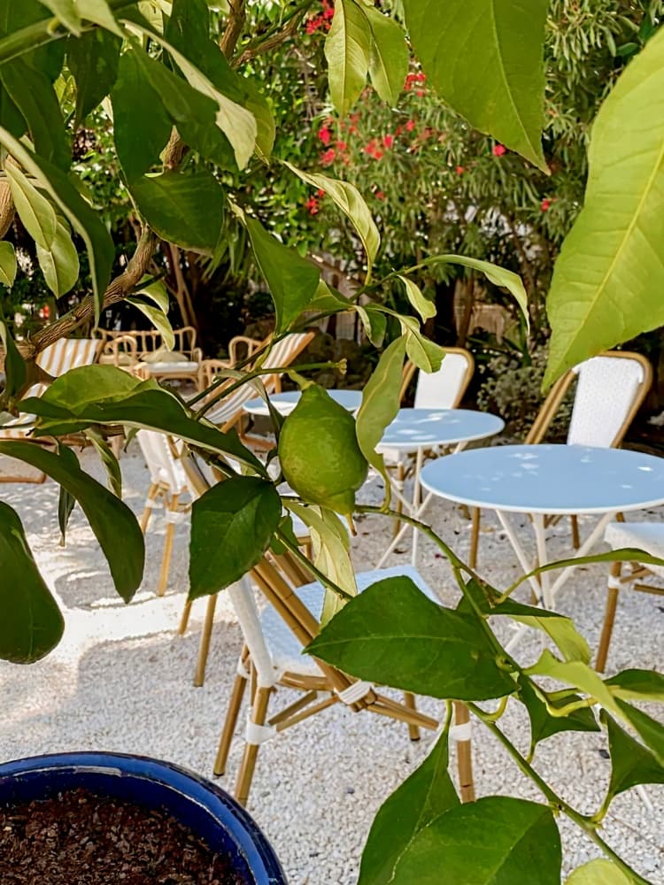 Hôtel Le Sud