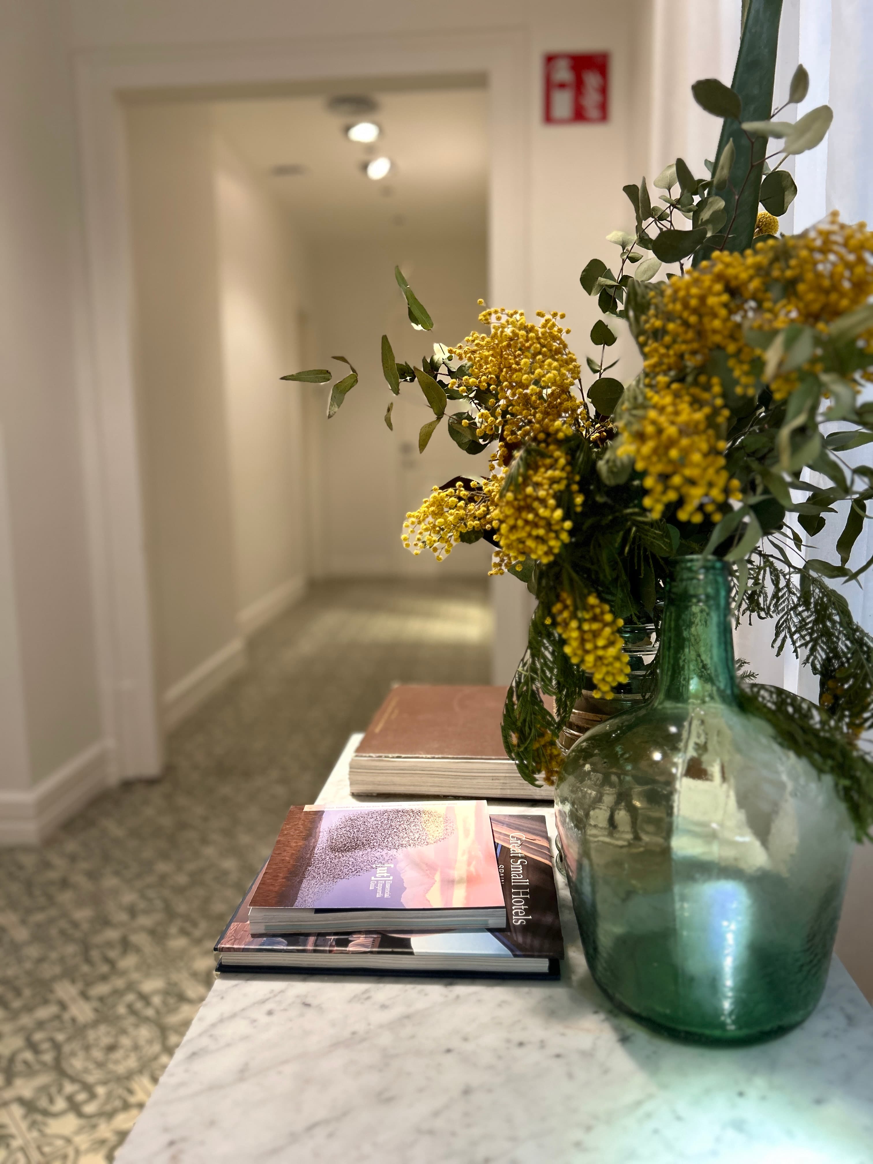 Forget Me Not Barcelona