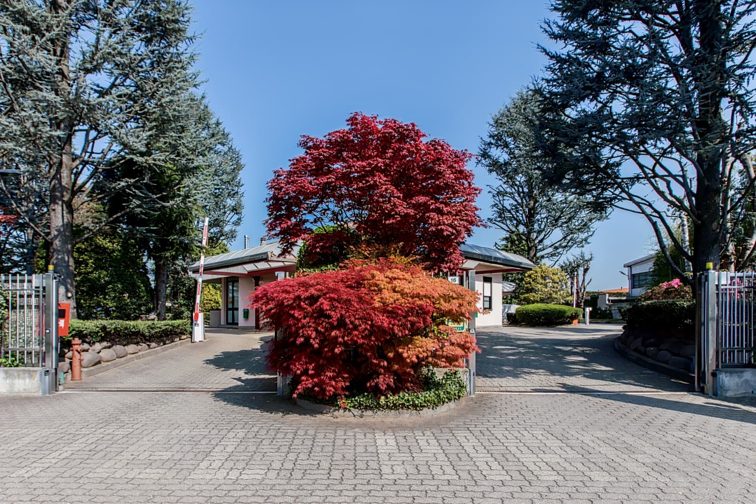 Airport Motel Malpensa