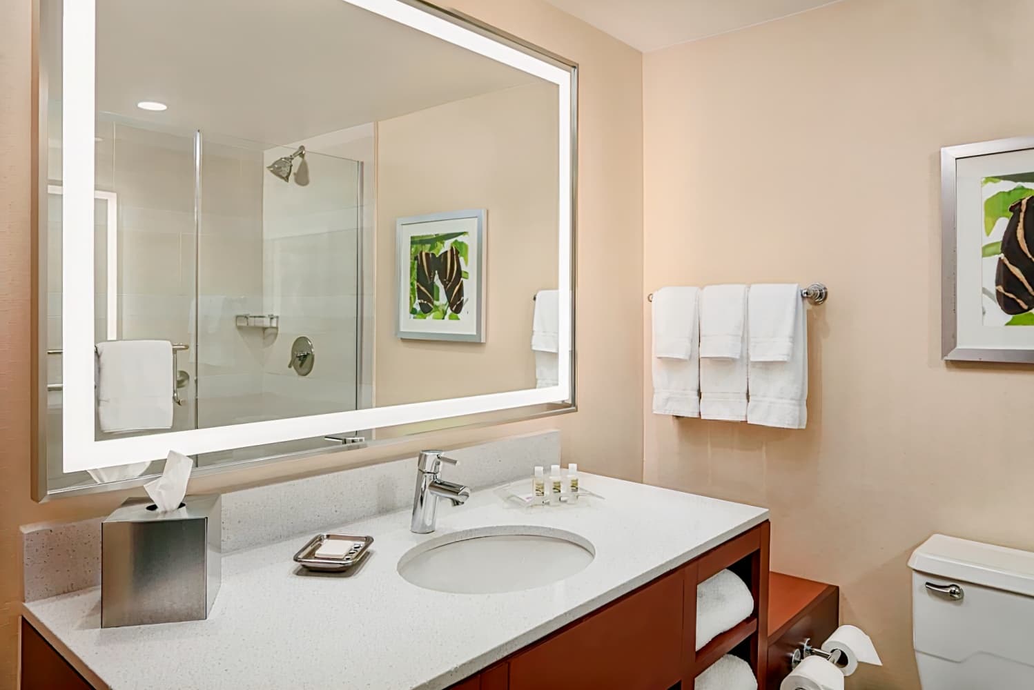 Holiday Inn Austin - Town Lake