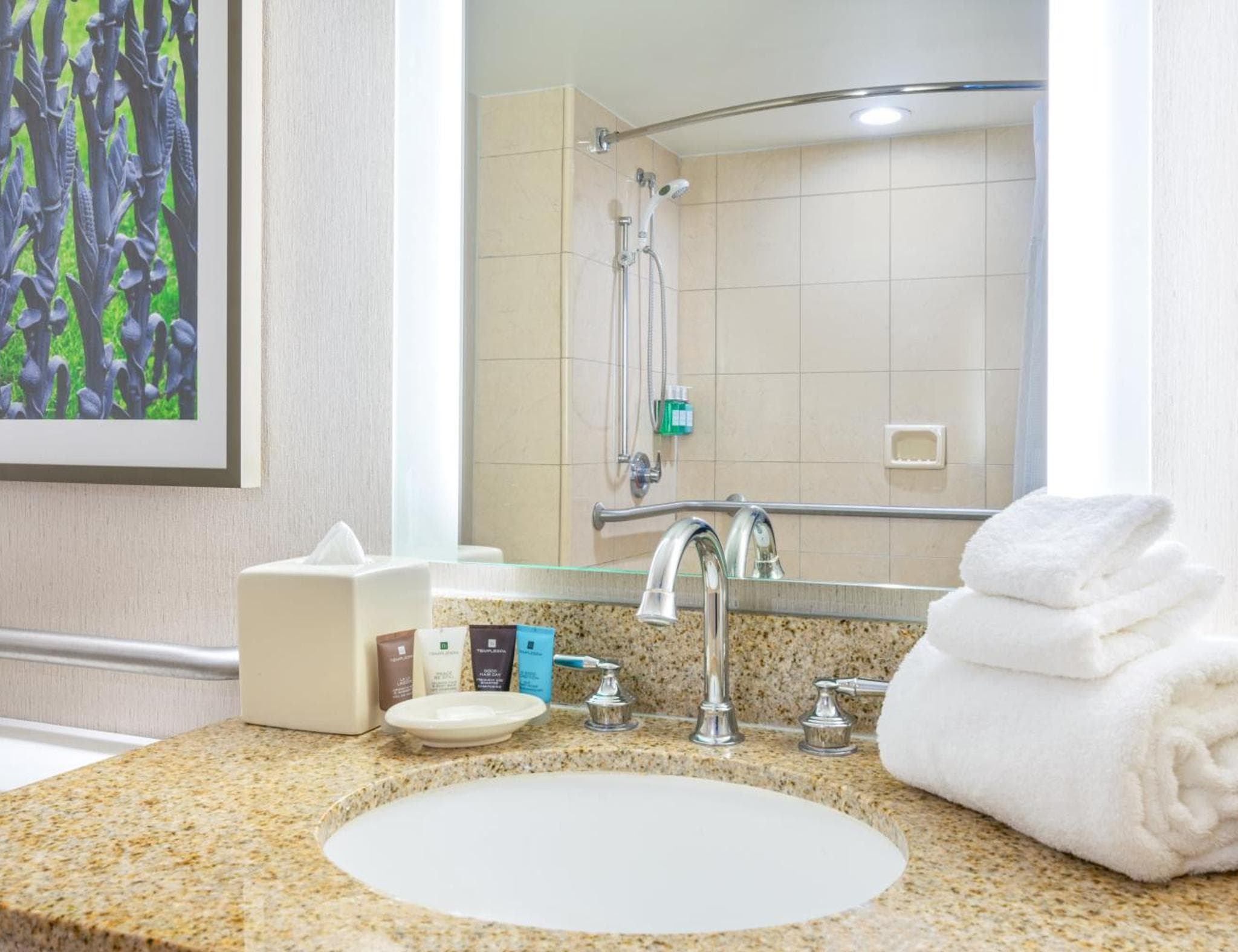 Astor Crowne Plaza New Orleans French Quarter, an IHG Hotel