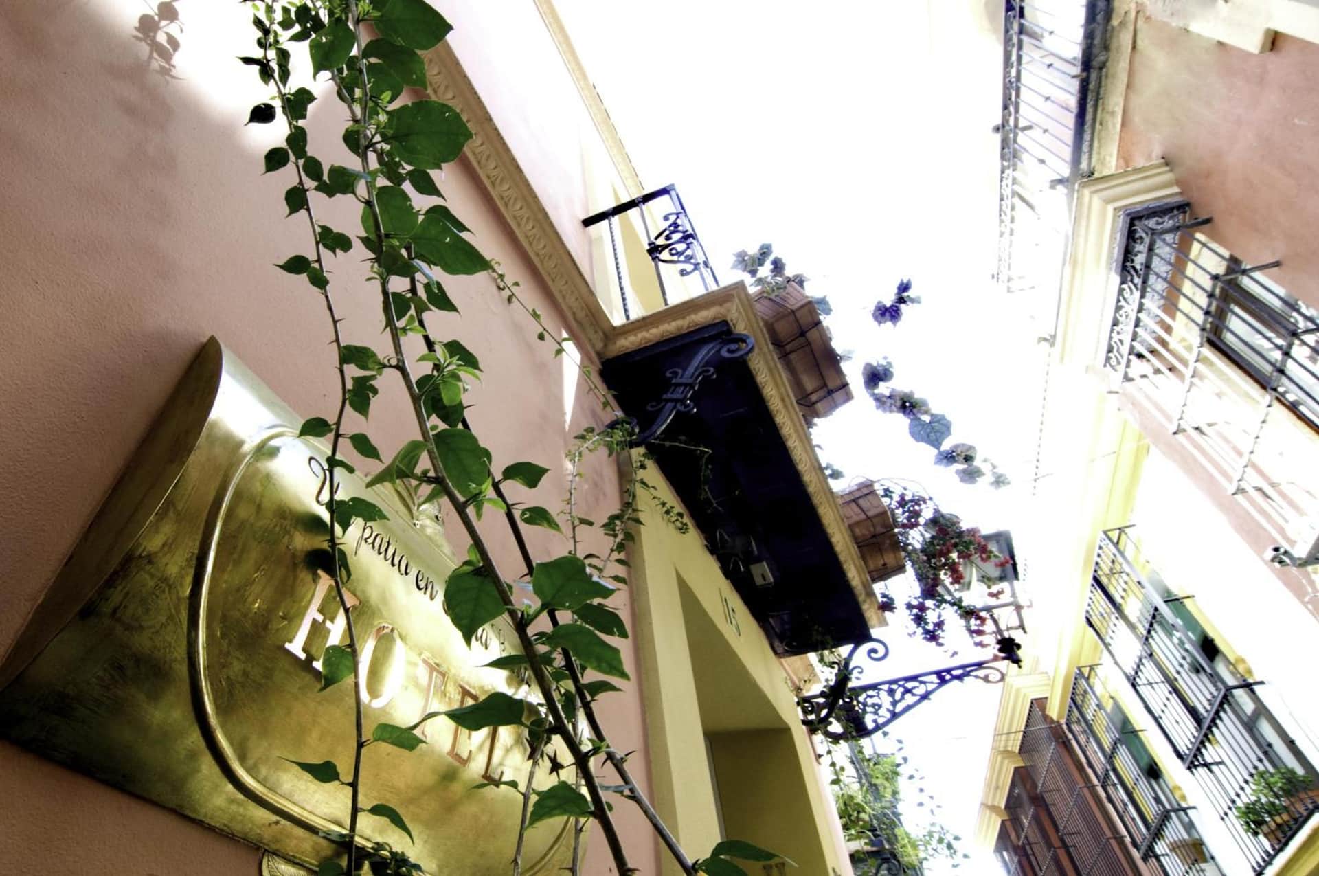 Hotel Un Patio en Santa Cruz