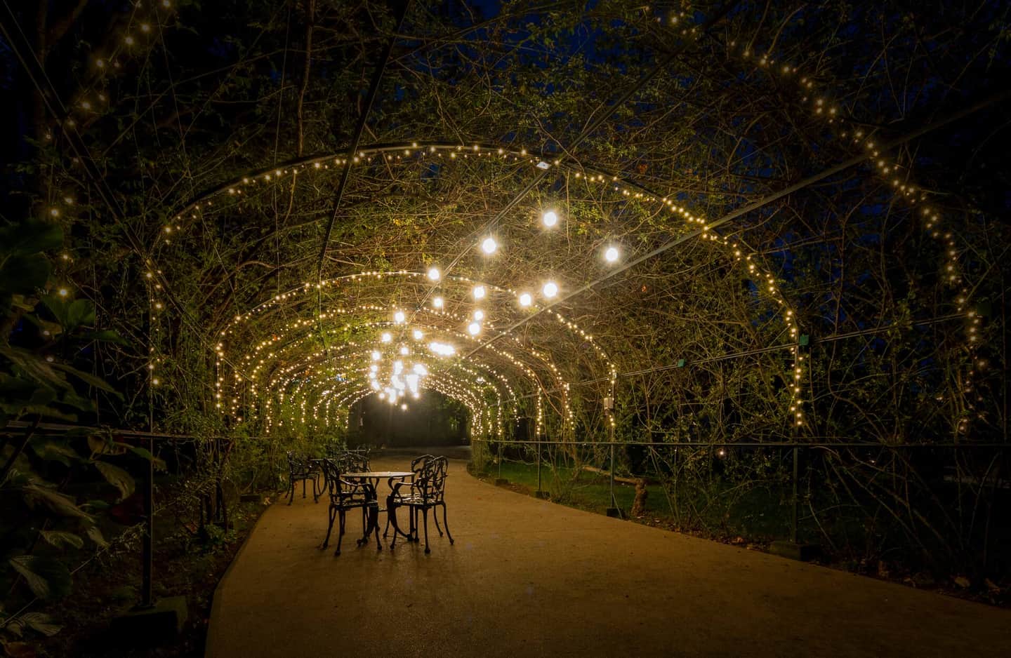 Boeira Garden Hotel Porto Gaia, Curio Collection by Hilton
