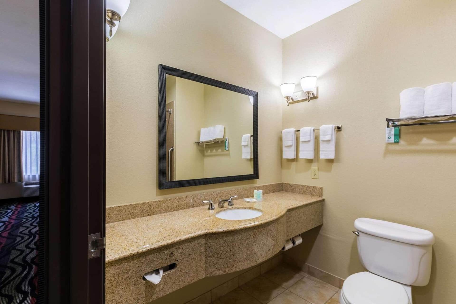 Comfort Suites Beaumont I - 10