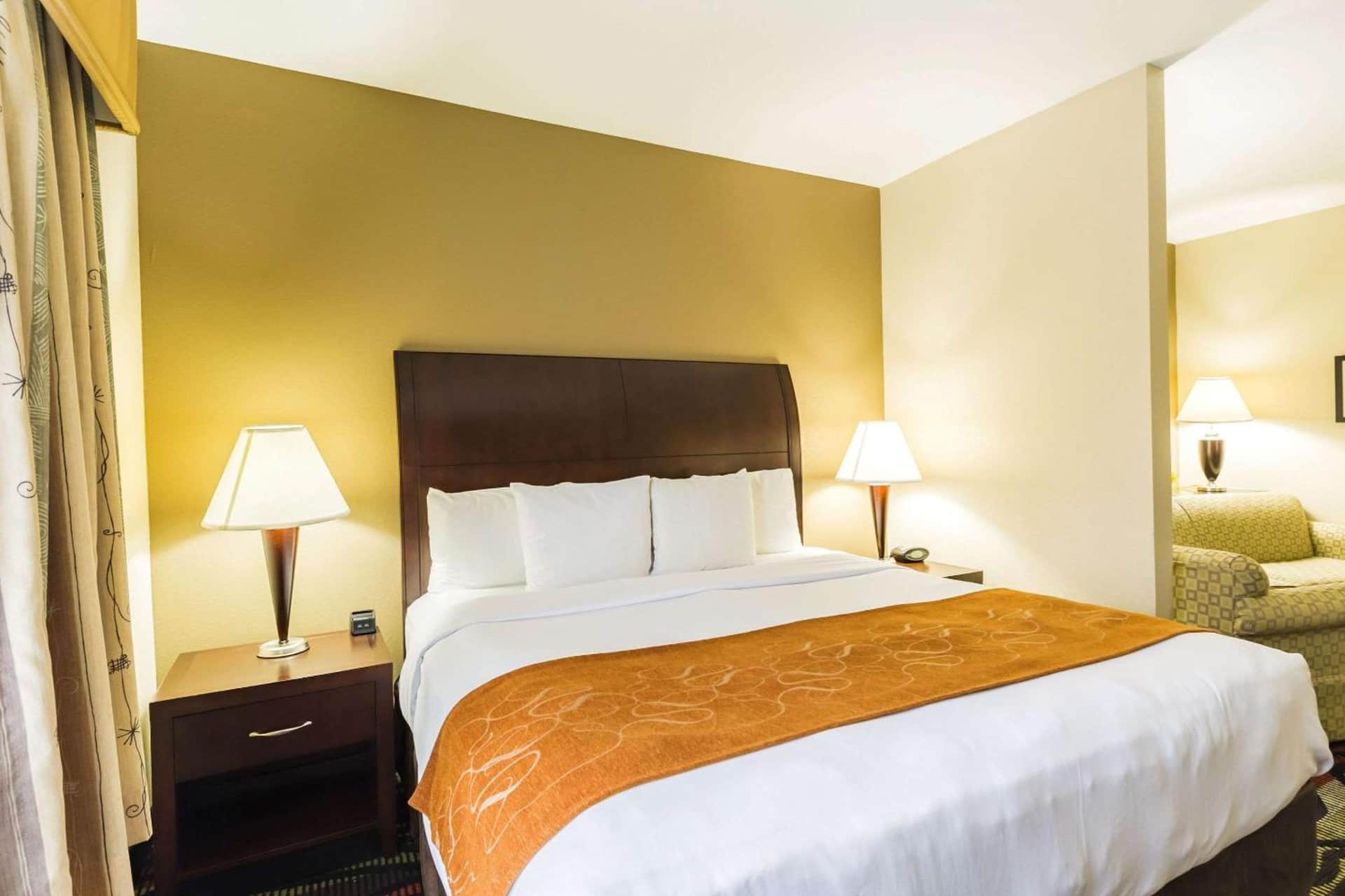 Comfort Suites Beaumont I - 10