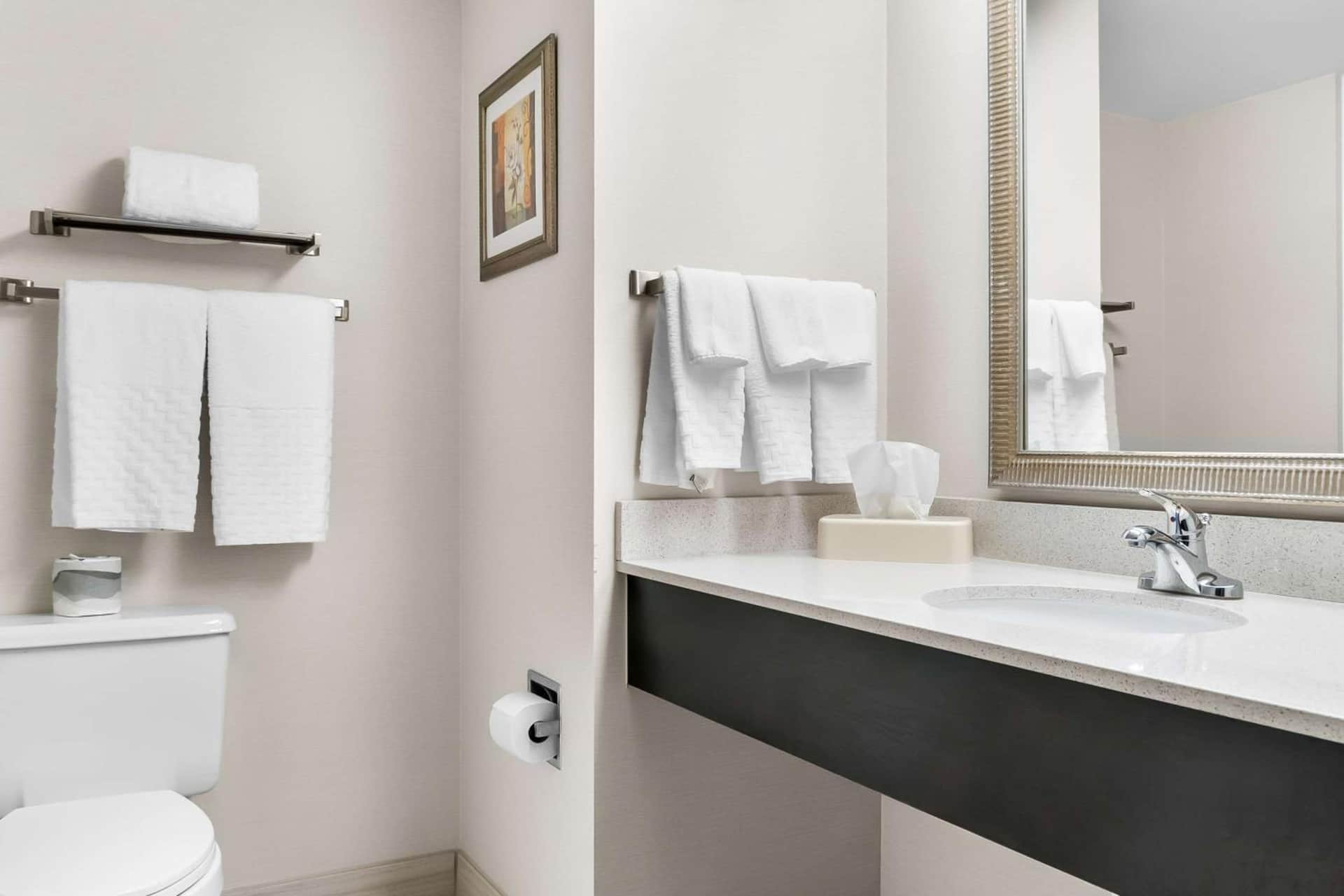 Best Western Okemos/East Lansing Hotel & Suites