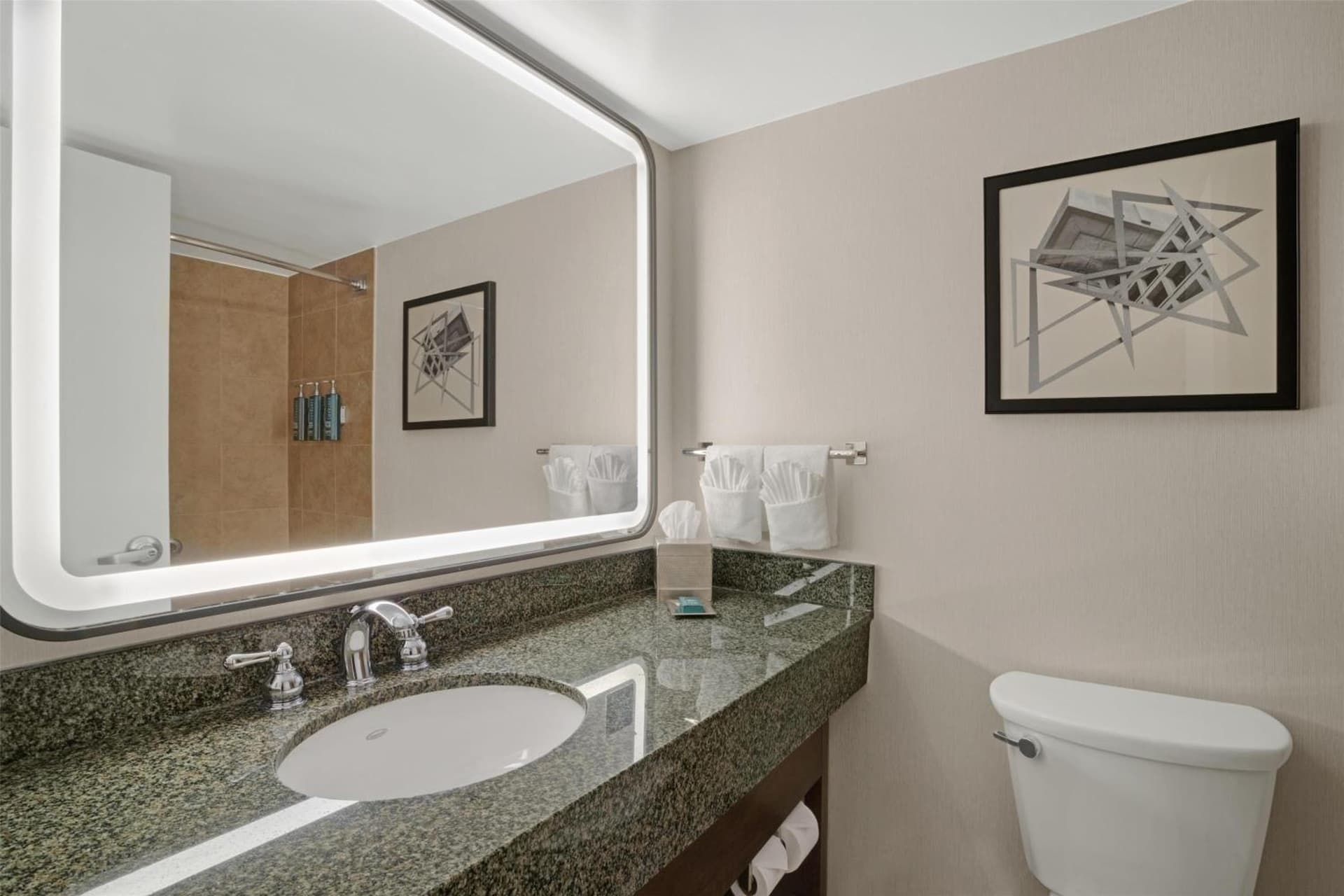 Hilton Arlington National Landing