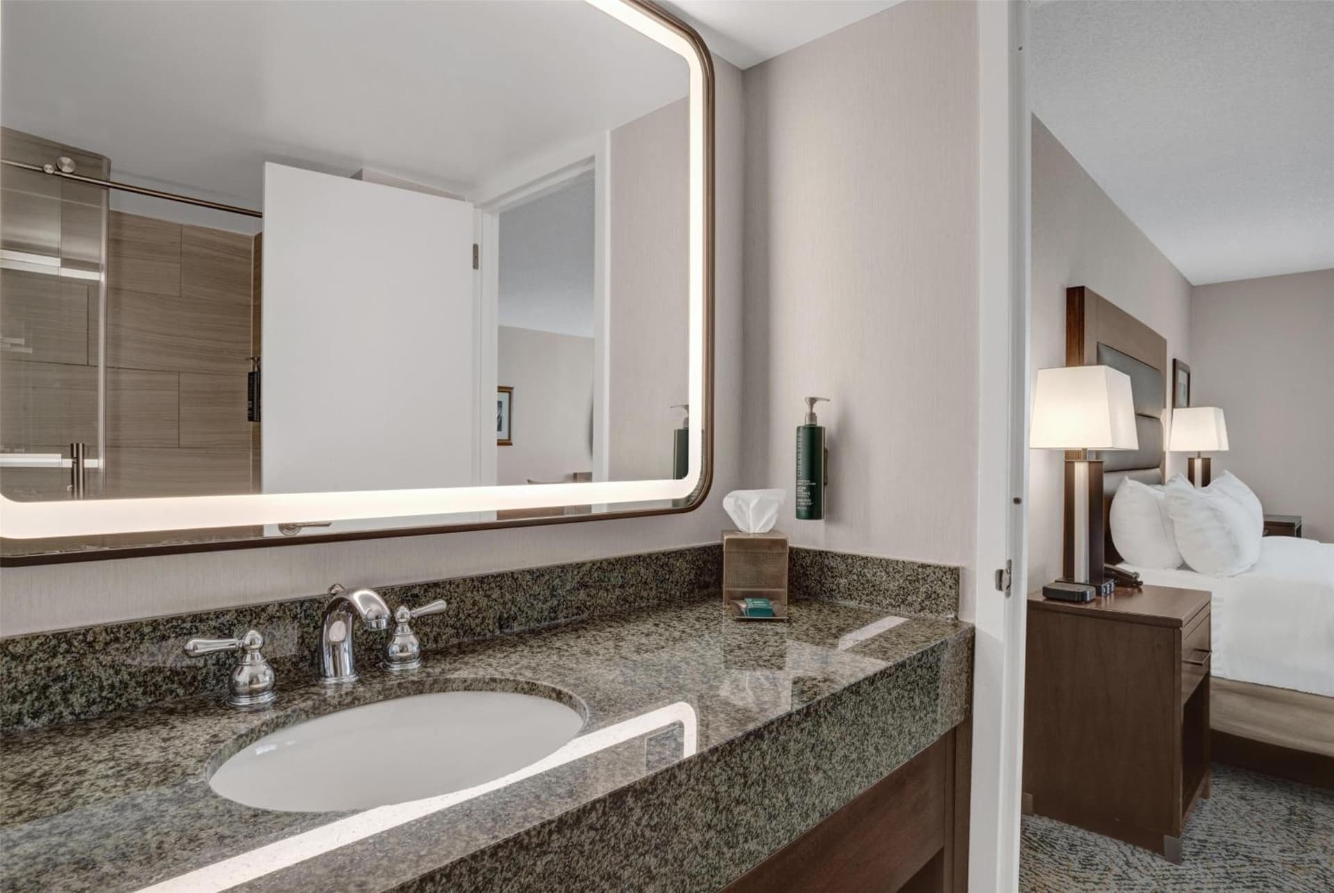 Hilton Arlington National Landing