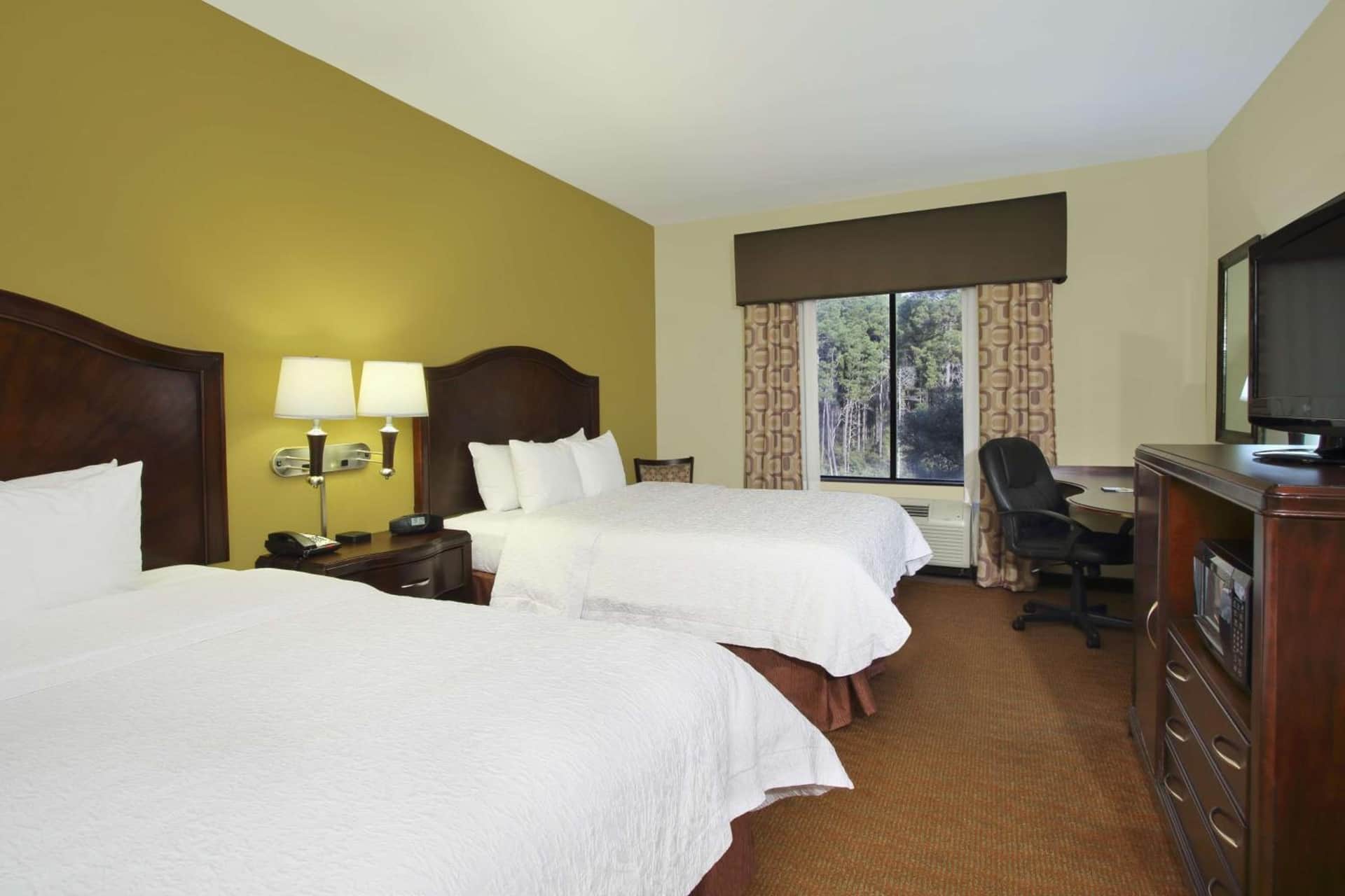 Hampton Inn & Suites Conroe I-45 North