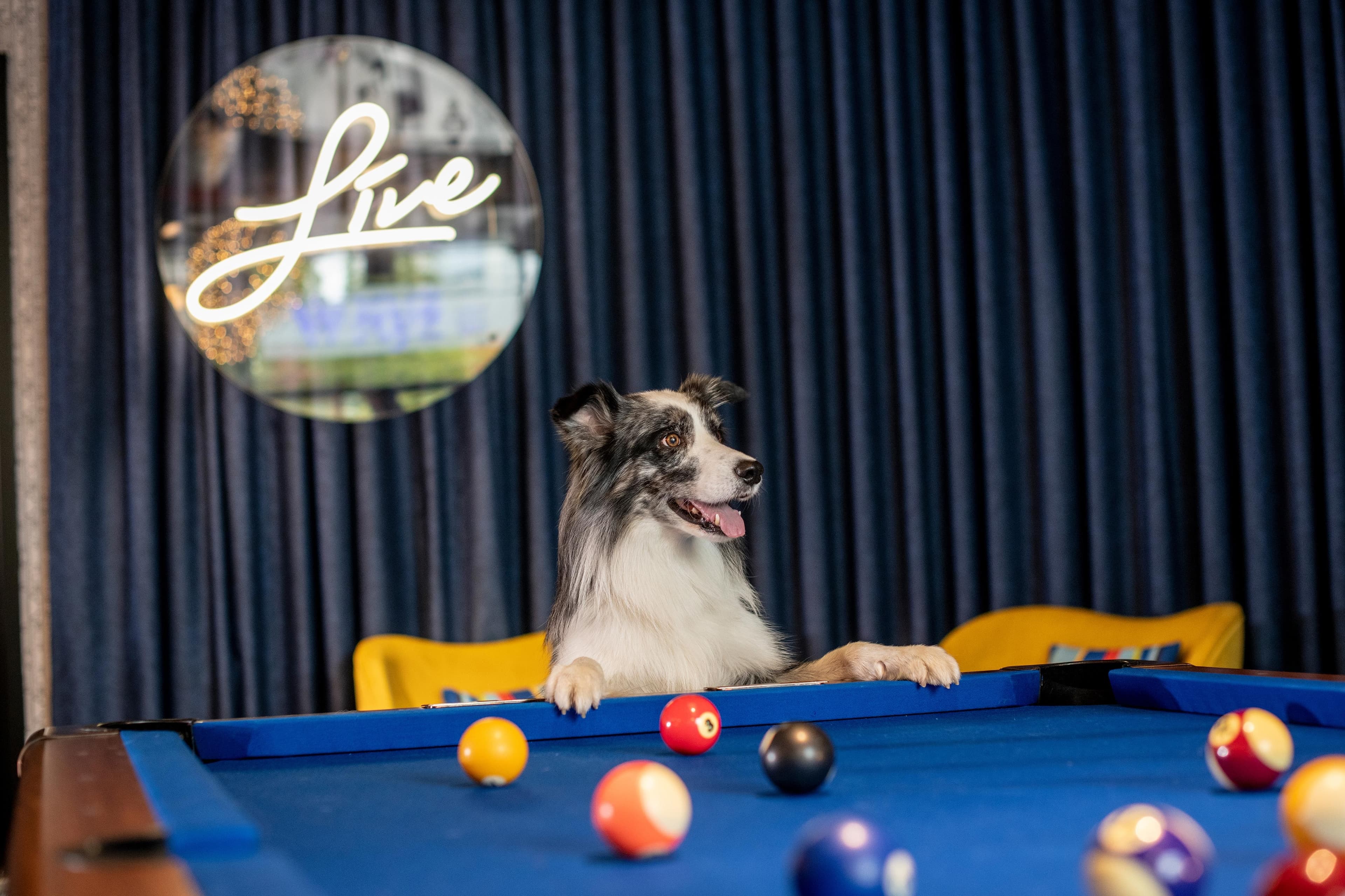 Pestana Brussels Schuman